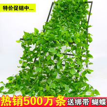 ����G�}�~�ٗl�b٘��~�G������ů��ˮ�ܵ��ړ����{�p�@���ϻ�