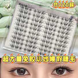 超大量免胶小纱幔假睫毛自然纤长柔软舒适贴合眼部上镜眼尾一簇斜