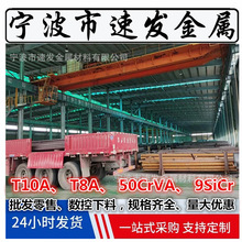 ̼���T8����� �˻�̼�ع��߈A��䓰� T10A����� �A� �Y���