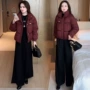 冬季女士新款秋冬棉服