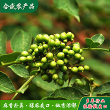 莱芜厂家定制青花椒干麻椒一站式OEM加工ODM青花椒颗粒外贸出口