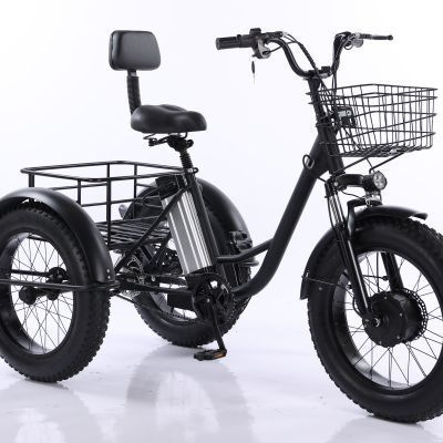 2025 Blackberry Iron 20inch Fat Tire Electric Power-Assisted Tricycle with Thick Tires for Snow and Lithium Battery Bicycle