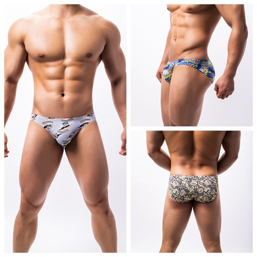 Wholesale supply of BRAVE PERSON men's underwear men's briefs B1194
