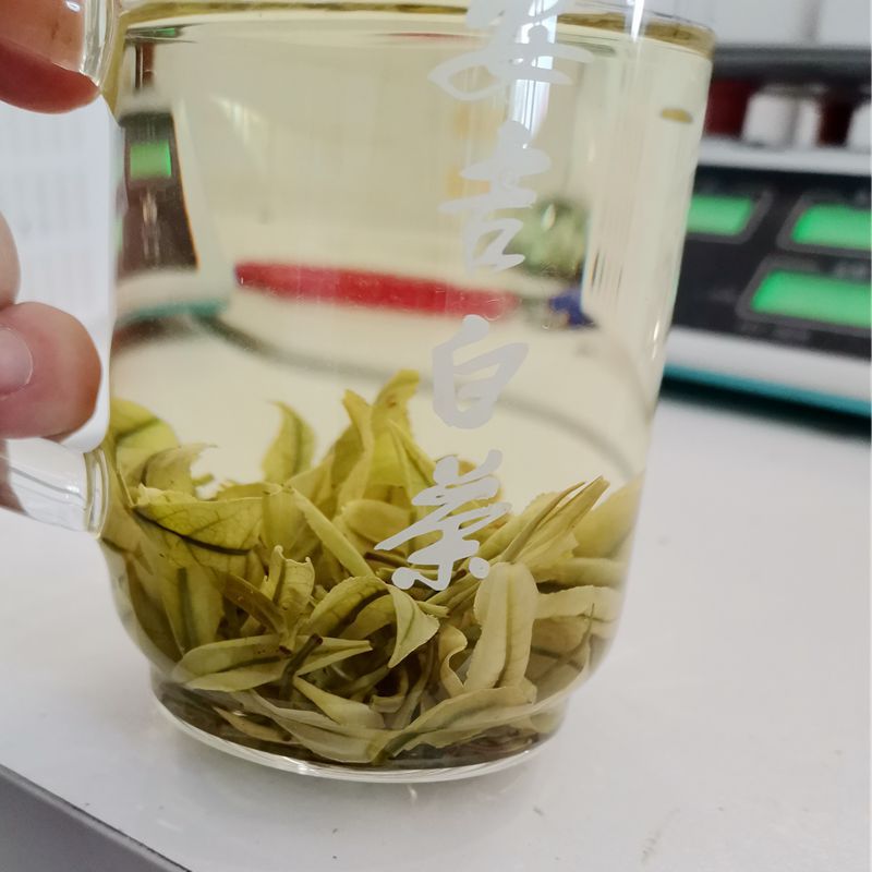 微信圖片_20220813110925_副本800