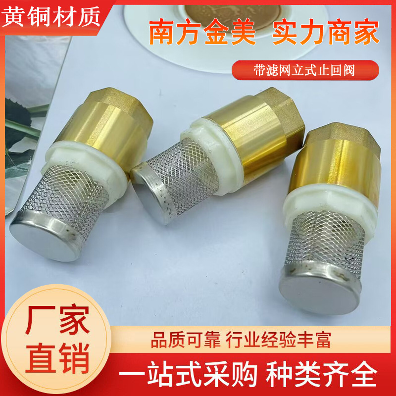 全铜加厚立式止回阀带过滤网单向25止逆水井20水泵4分6分1寸DN15