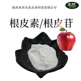 根皮素98%苹果皮提取物60-82-2根皮苷98%根皮素粉现货包邮可寄样