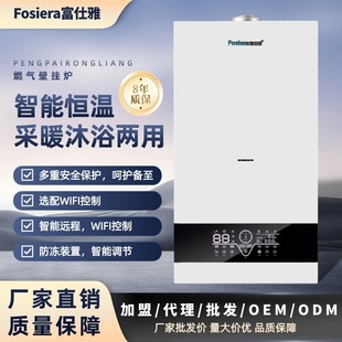 Household Gas Heating Boiler Intelligent Control Wall-Mounted Boiler Fushiya Source Factory Wall-Mounted Energy-Saving Intelligent Energy-Saving