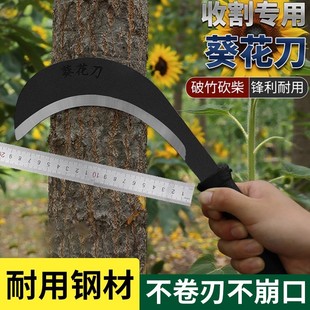 ���i䓿�����һ�w�๦�ܸ�ݸ��~�r��砵���ȫ���üӺ����������