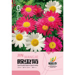 除虫菊种子驱蚊草驱虫菊花多年生花种籽子四季播种开花室内外花种