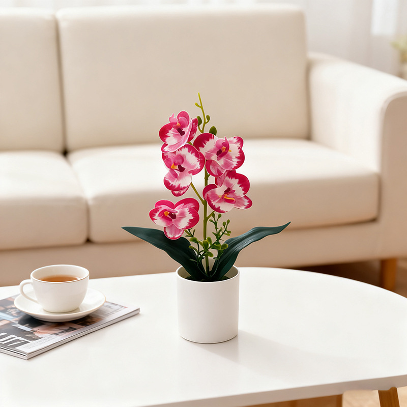 로즈 레드 엣지 (높이 31*가로 17cm)