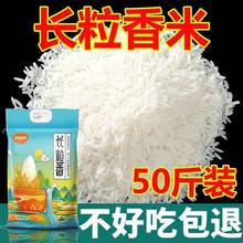 Ϻ�ﳤ������20�ﳤ������������˿�������е�����è����10������