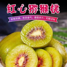 红心猕猴桃新鲜包邮当季奇异果弥猴桃新鲜水果猕猴桃一件代发
