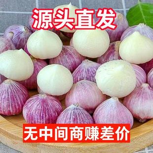 ���r�ɪ��^��������r������Ƥ����ɼt��Ƥ����5���|���߲˴���