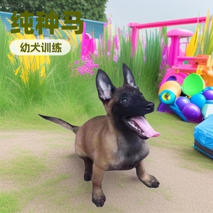 ���l�����r�RȮ���̻��w���N�RȮ��Ȯ�����RȮ����Ȯ����ȮС��