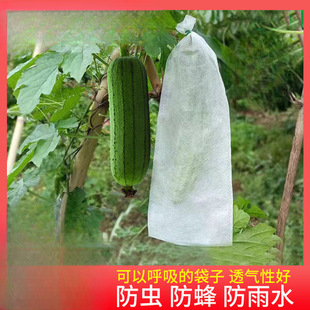 �z�Ϸ��x�����B�����������S�ϱ��o�״��o�����״���������