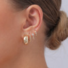 Fashionable metal accessory, glossy earrings, set, European style