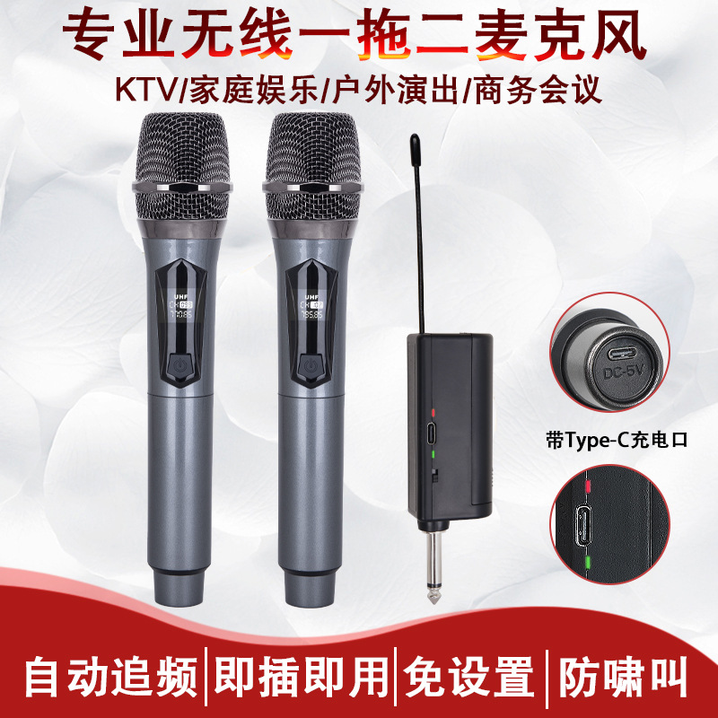 Rechargeable wireless microphone profess...