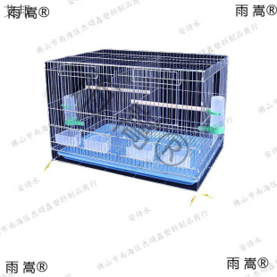 �B�\�p�g�����̖�B�\�ӷָ��Ӵ��B���Bֳ�����Ƥĵ�����L�䌦�\