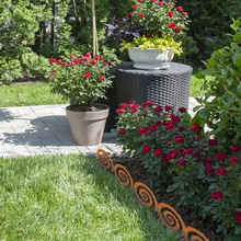 �羳��Ʒ����������ˇ�g���ټ�Ӱ���@�r����ƺ�bز��F�P��ˇƷ