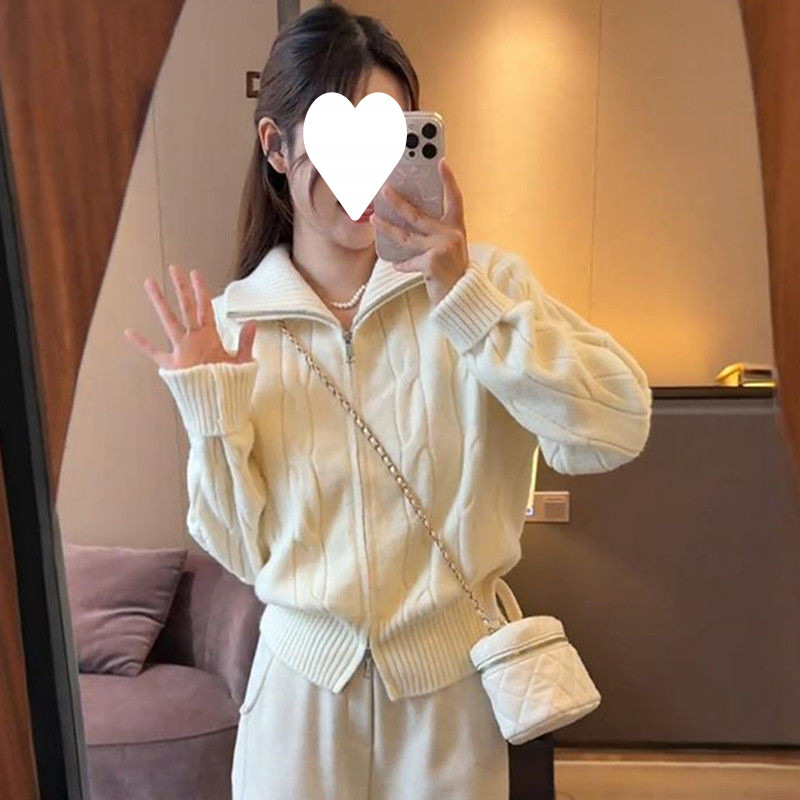 姿子温柔风高领麻花纹双拉链针织开衫毛衣女冬季新款宽松高级上衣