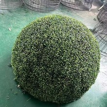 ���⾮�w�ړ��b�Ʒ�ڳ�������������m����Gֲ����Ƶ��b�