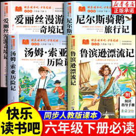 鲁滨逊漂流记汤姆索亚历险记六年级下必读课外书快乐读书吧6下