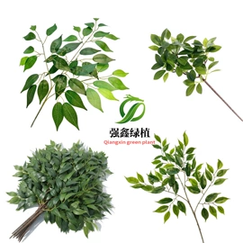 仿真绿植;仿真盆栽;仿真草皮