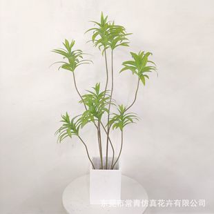 ��ɫ����ˮ�໨���V�໨��ˮ����»�����ˮĥʯ�Gֲ�������