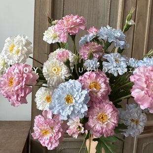 4�^�f�۾շ��滨 �zӰ���� �������� ������ˇ��@�L�Ҿ��b���