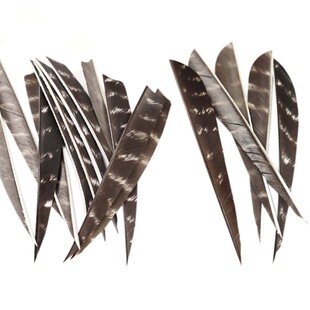 �����Ȼ���u�������3 4 5Ӣ�����������y���������C����ë��֧