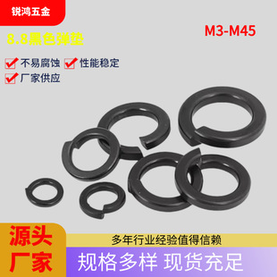 SֱN8.8ɫ|lڏ|Ȧߏȏɉ|Ȧ_ڏԉ|