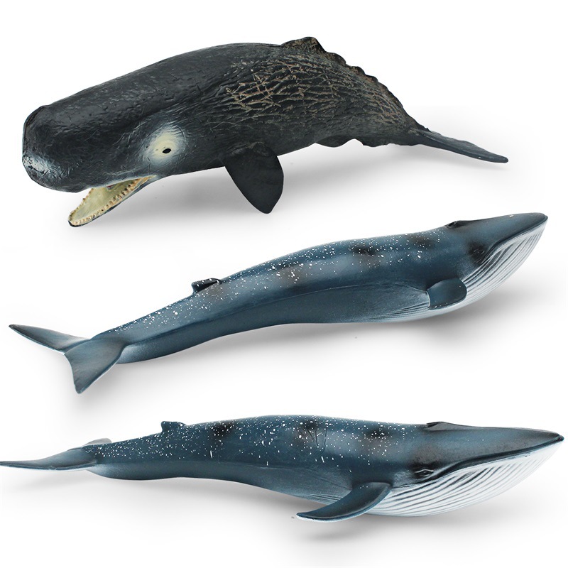 Simulación transfronteriza animal marino modelo de ballena Cognición de los niños criatura submarina cachalote Ballena Azul adornos estáticos