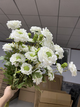 4�^���x�� ���滨���׻�݆����{�軨��c�廨�bҾӔ[�żٻ�