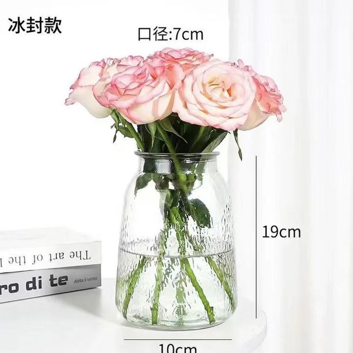 INS estilo florero de vidrio simple arreglo de flores transparente flor hidropónica planta verde florero sala de estar mesa de comedor Decoración