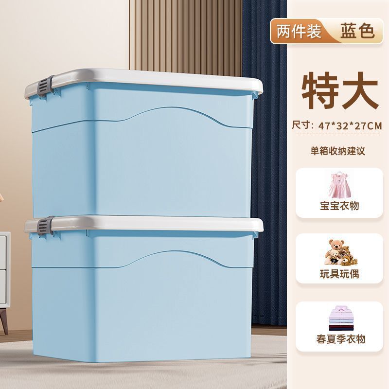 특대형 [2개] 할인