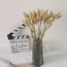 ��β�ݸɻ����滨ԭɫ��Ȼ�L�ɹ�β�ͲݼҾ��b��Ĕz���߸ɻ����l