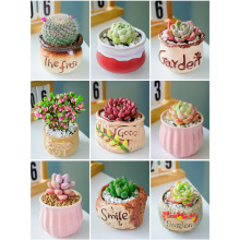 ���⎧��ֲ��M���҃�С������¶�ҵ����մɻ������Ϙ��߶�������