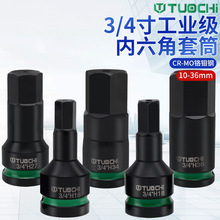 3/4��19��������H������Ͳ���̓��������^늚���L��������������
