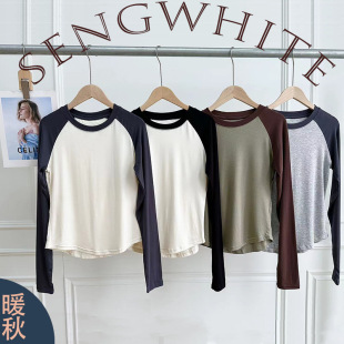 Fashionable Cotton Korean Style Long-Sleeved Round Neck Slimming Bottoming Long-Sleeved Women's Tops with Contrasting Color Stitching Raglan Sleeves Wholesale