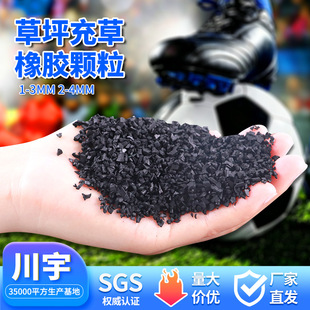 �������ƺ�w���WУ�����Ƥ�z���ߠ��������ƺ���h�����z�w��