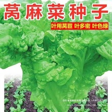 ~n˷N~n˷N＾N߲˷NӷNѴȫ