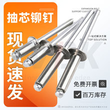 不锈钢抽芯铆钉304铝制开口型圆头装潢拉铆钉M2M3M4M5正国标批发