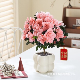 ���N���ļ��_�����Ի����Ϙ��҃����̨�Gֲ���������Bֲ�����