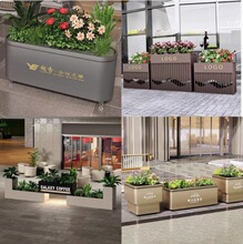 ���������������P䓻����·�����̈����ΈA���ۘ�̎�M�ϻ���