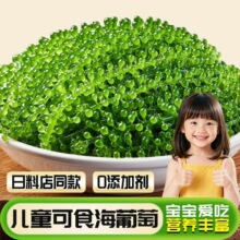 ��ͯ��ʳ�����ѹٷ���Ş���}�n�����ѻ��ʳ���������l�Gɫ�~���u