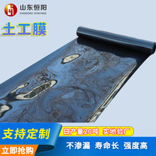 hdpe geomembrane GRI Test Method GM13标准高密度聚乙烯土工膜