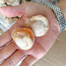 ��ؐ�����r����b���S����ؐ�r���S͘����Ȼ���r�tؐ��ʹ�ؐ����