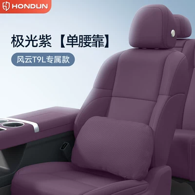 Headrest — for Fengyun T9L Headrest, Lumbar - aurora-purple-one-piece-waist-support-no-specifications