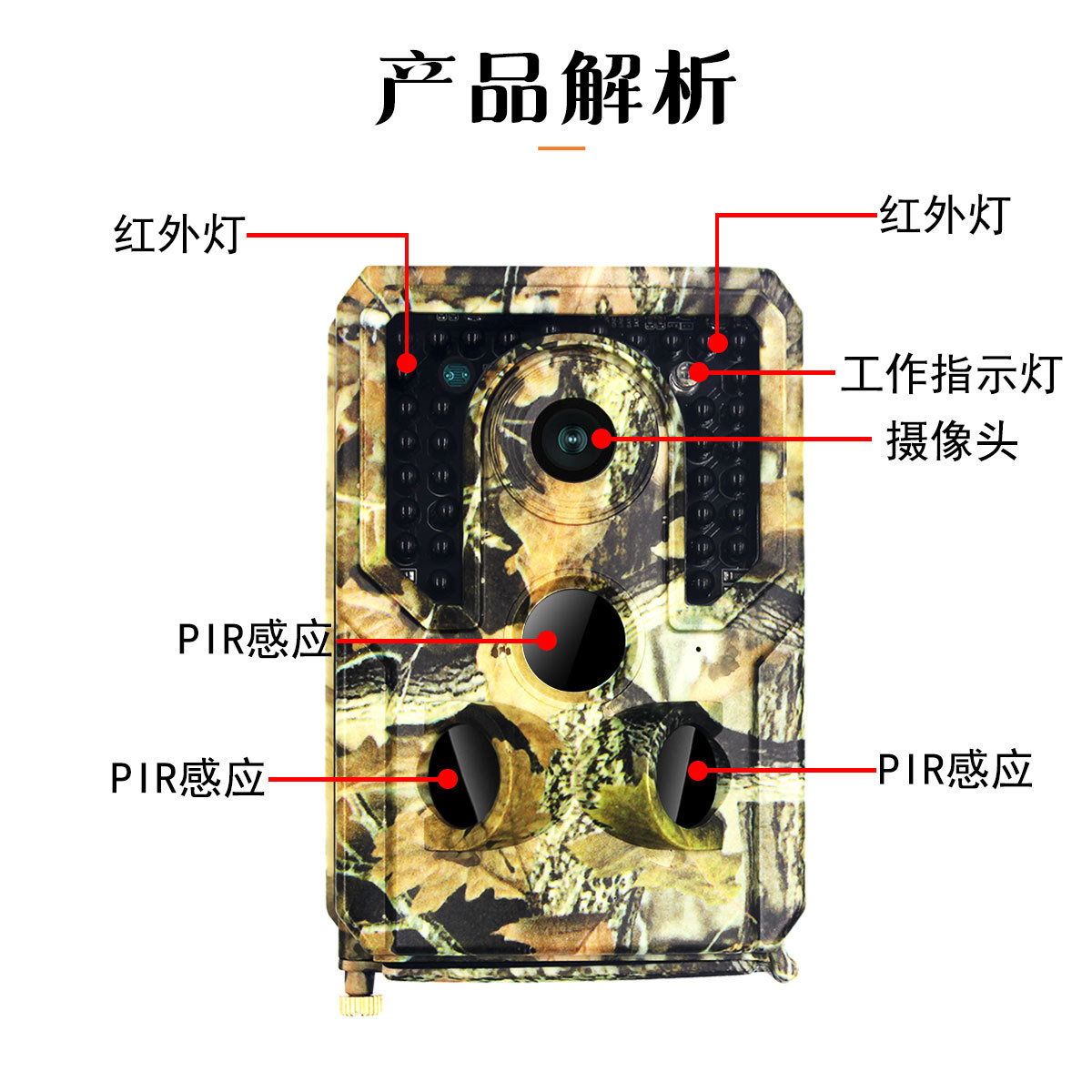 O1CN01g7QIPK1Vf1jVbLD6R_!!3179