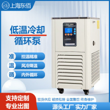 低温冷却液循环泵实验室数显恒温槽低温恒温反应浴DLSB低温泵厂家
